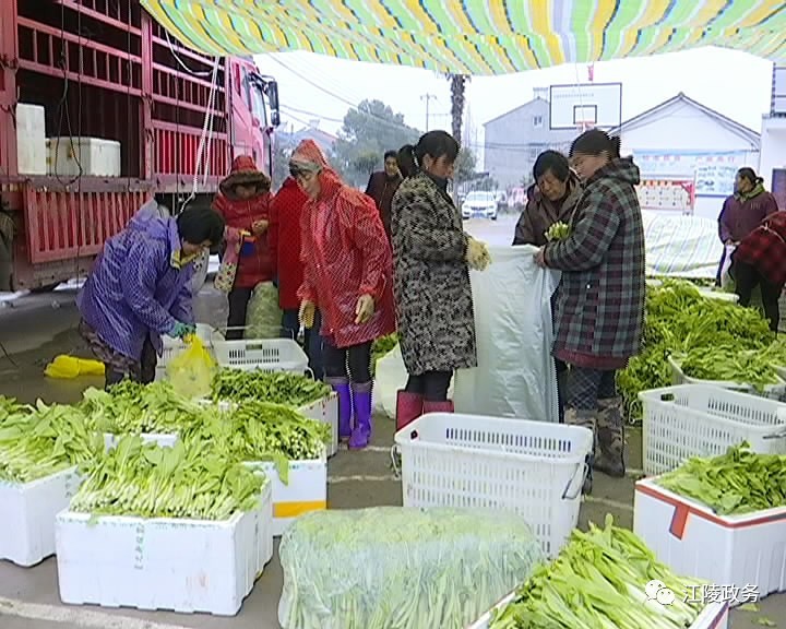 安康富硒产品（安康富硒产品介绍）-硒宝网