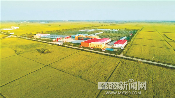 中国富硒之都（中国富硒食品）-硒宝网