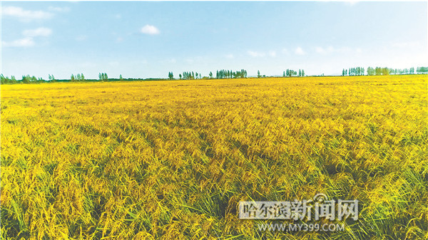 中国富硒之都（中国富硒食品）-硒宝网