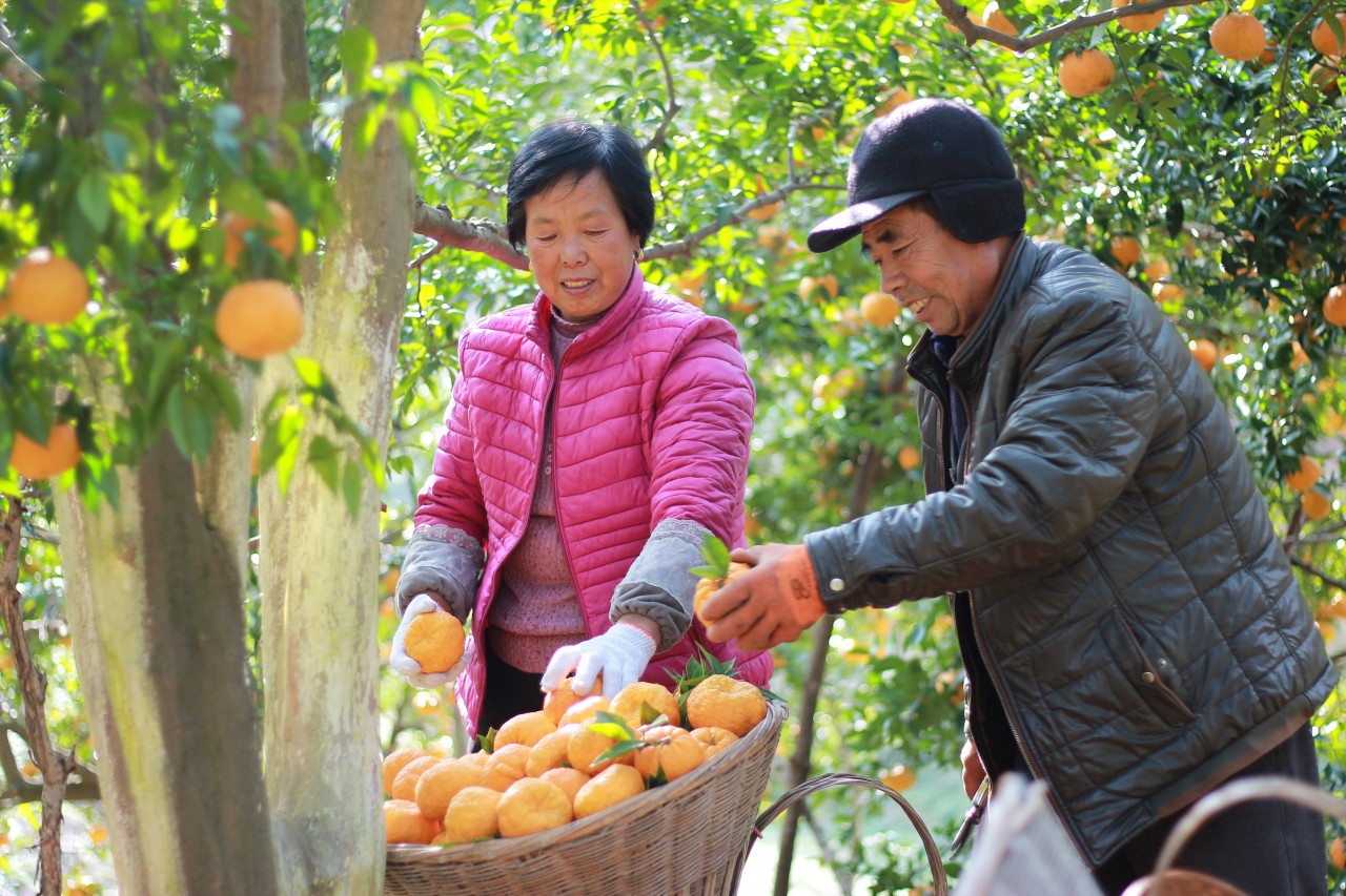 安康富硒产品（安康富硒产品博览会）-硒宝网