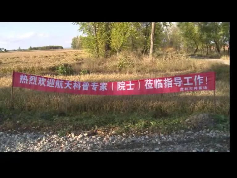 富硒大米有什么好处（大米含硒有什么好处）-硒宝网