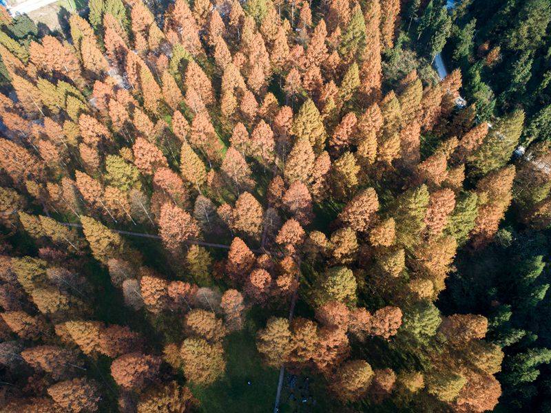 恩施硒的好处(恩施的硒是传销吗)-硒宝网