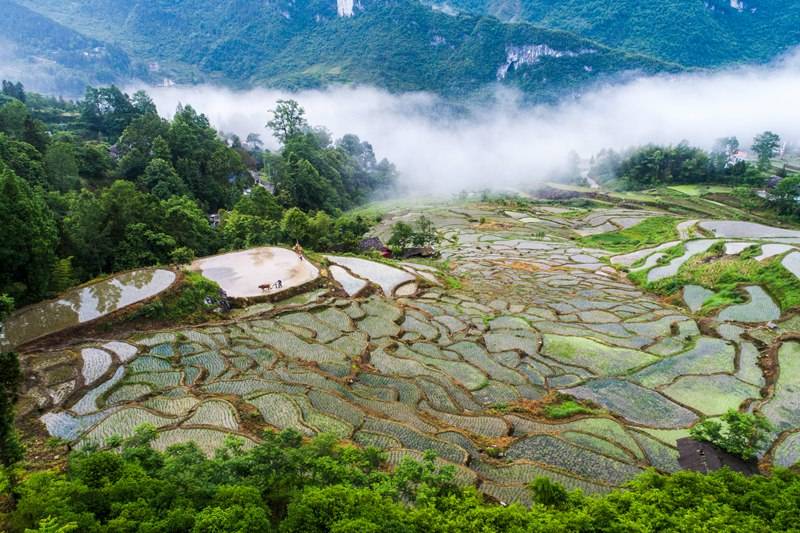 恩施硒的好处(恩施的硒是传销吗)-硒宝网