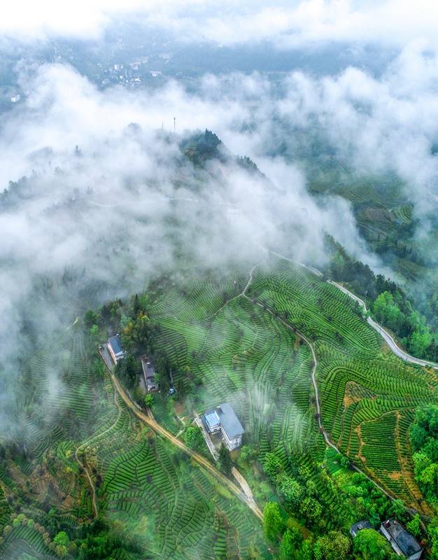恩施硒的好处(恩施的硒是传销吗)-硒宝网