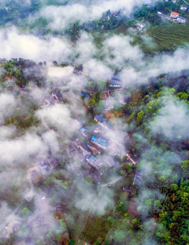 恩施硒的好处(恩施的硒是传销吗)-硒宝网