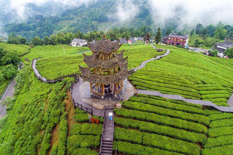 恩施硒的好处(恩施的硒是传销吗)-硒宝网