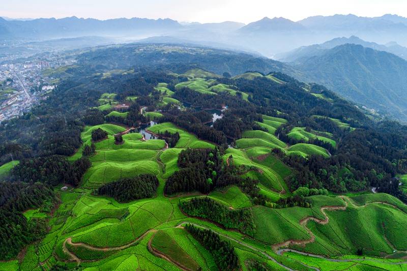 恩施硒的好处(恩施的硒是传销吗)-硒宝网