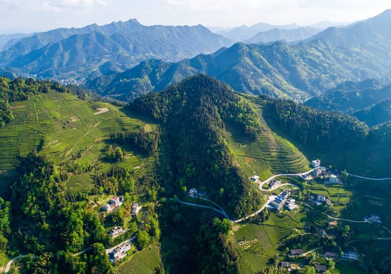 恩施硒的好处(恩施的硒是传销吗)-硒宝网