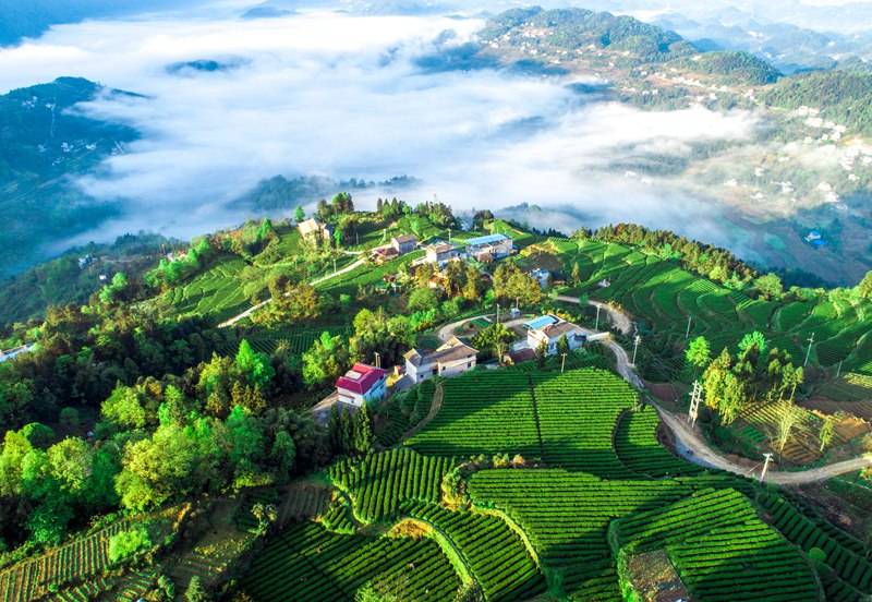 恩施硒的好处(恩施的硒是传销吗)-硒宝网