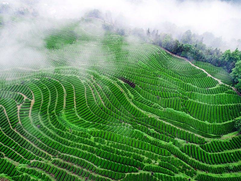 恩施硒的好处(恩施的硒是传销吗)-硒宝网
