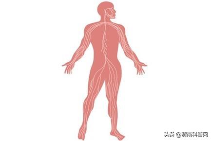 硒在第几周期(纳米硒——硒旺胶囊)-硒宝网