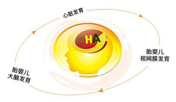 无抗富硒鸡蛋好吗（鸡蛋富硒是什么意思）-硒宝网