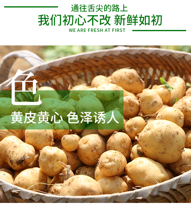 恩施富硒之地是哪里（湖北恩施富硒产业相关介绍）-硒宝网