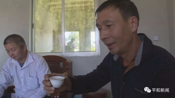 含硒最好茶叶-富硒白芽奇兰茶（茶叶含硒的标准值）-硒宝网