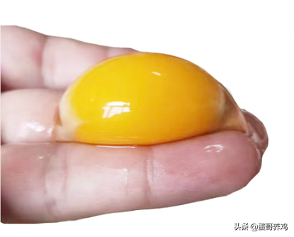 富硒鸡蛋靠谱吗（吃着真的安全、好吗）-硒宝网