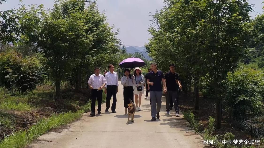 富硒青钱柳茶的功效（喝青钱柳茶有什么好处）-硒宝网