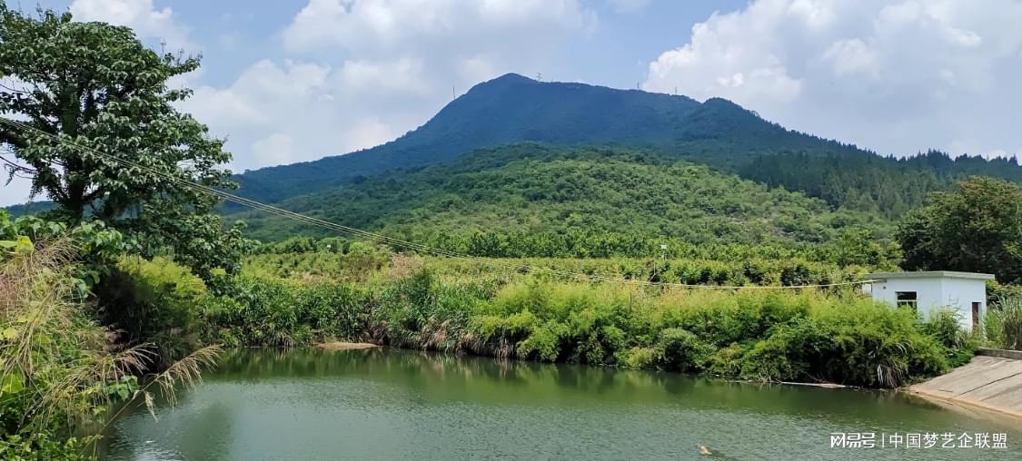 富硒青钱柳茶的功效（喝青钱柳茶有什么好处）-硒宝网