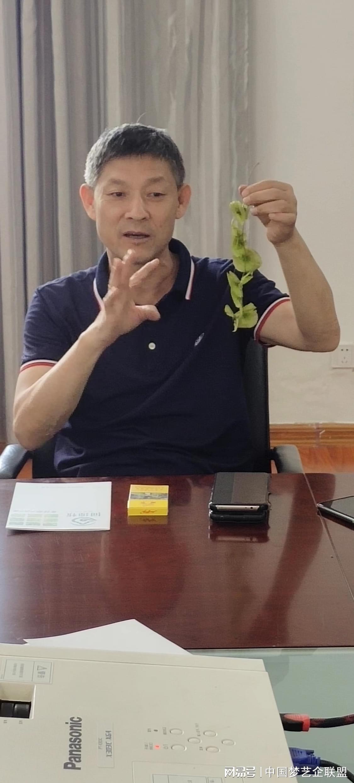 富硒青钱柳茶的功效（喝青钱柳茶有什么好处）-硒宝网