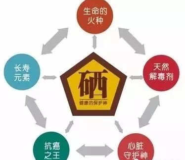 怎么补硒效果最好（科学补硒身体容易吸收）-硒宝网