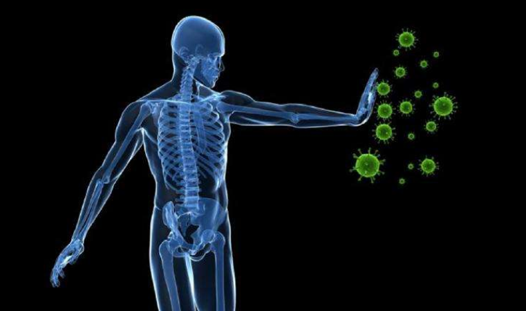 什么食物含硒量最高(食物含硒高低顺序)-硒宝网