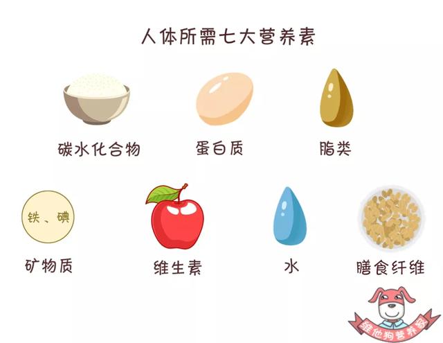 吃什么食物补硒最快最好(硒吃什么可以补)-硒宝网