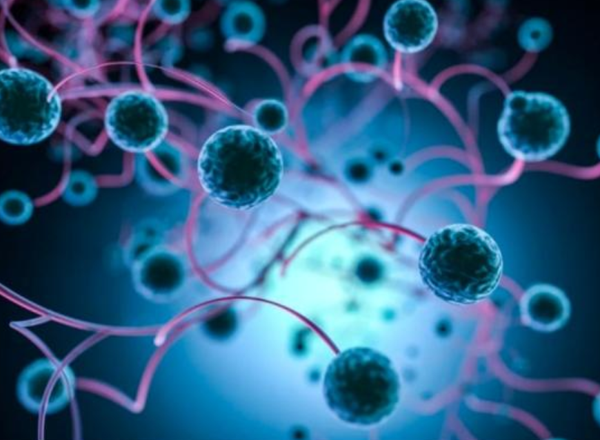 正常人怎样补硒最安全（最好的最安全的补硒产品有哪些）-硒宝网