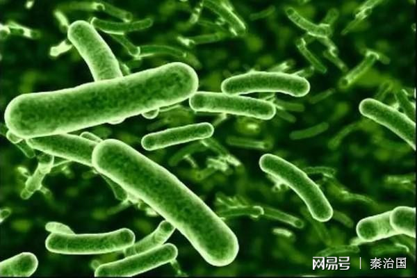 虎耳金硒蛋白(虎耳金硒蛋白眼药水)-硒宝网