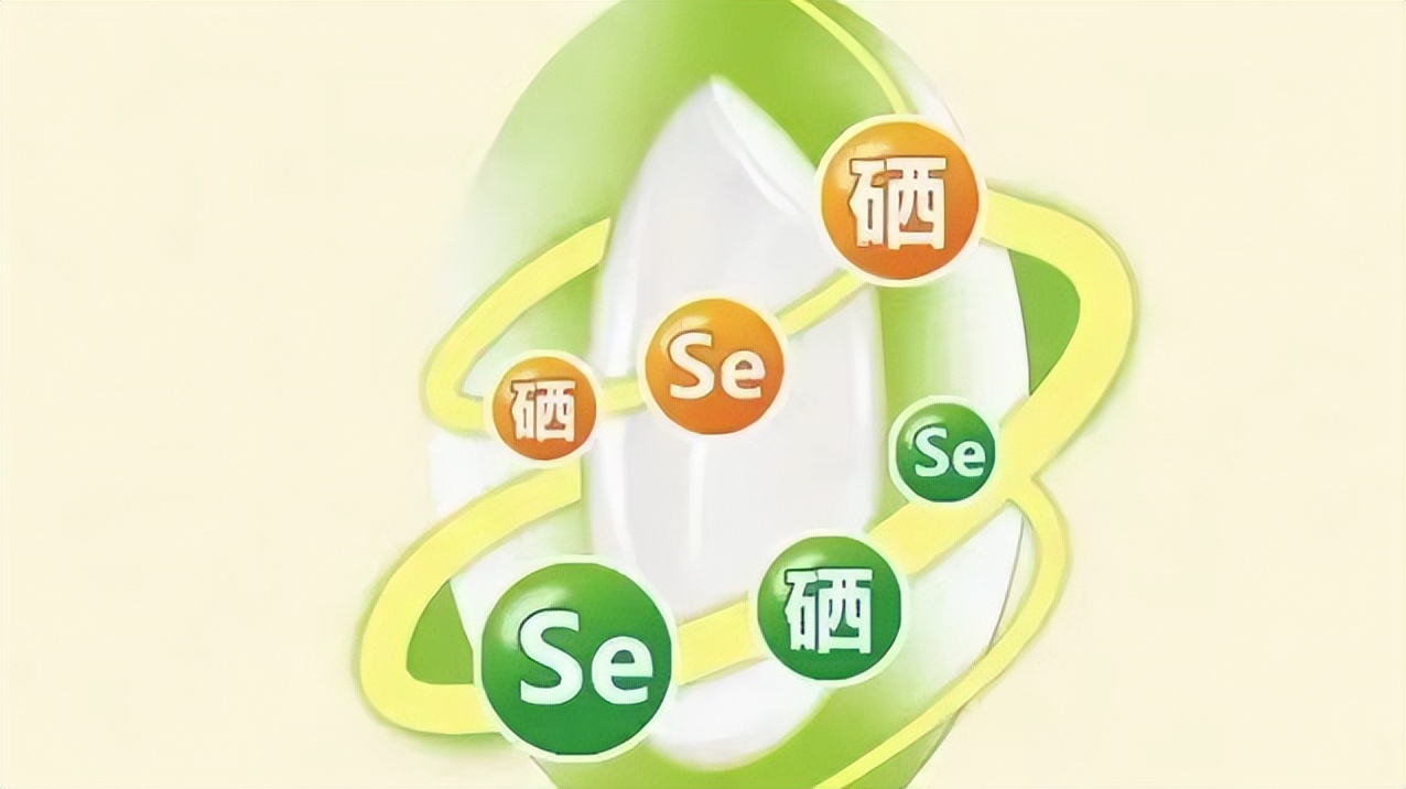 吃什么食物补硒(吃硒补什么)-硒宝网