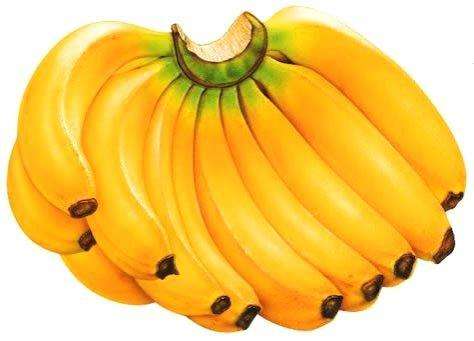 缺硒吃什么补得最快（硒缺乏吃什么好）-硒宝网