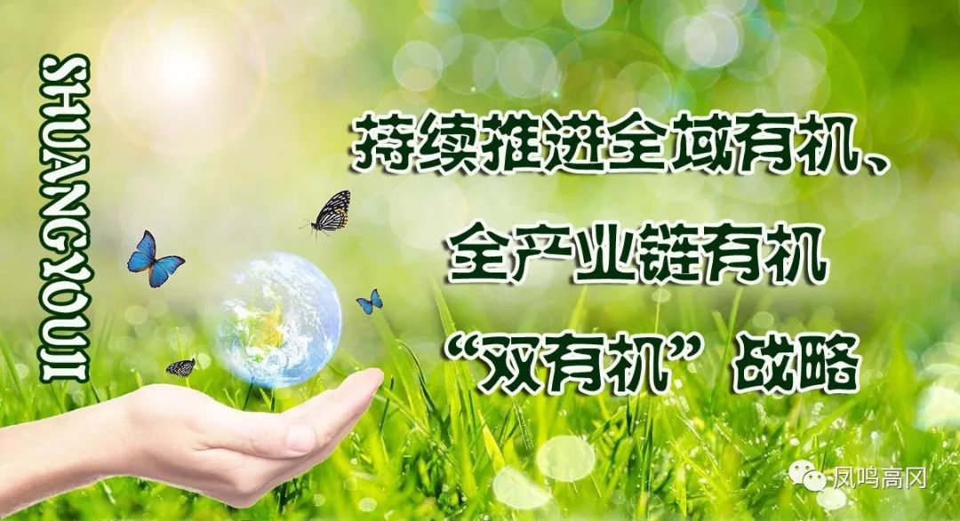 凤冈锌硒茶的功效与作用(凤冈锌硒茶好处)-硒宝网