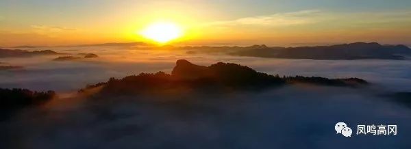 凤冈锌硒茶的功效与作用(凤冈锌硒茶好处)-硒宝网