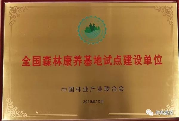 凤冈锌硒茶的功效与作用(凤冈锌硒茶好处)-硒宝网