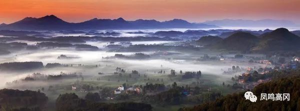 凤冈锌硒茶的功效与作用(凤冈锌硒茶好处)-硒宝网