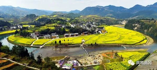 凤冈锌硒茶的功效与作用(凤冈锌硒茶好处)-硒宝网