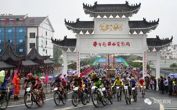 凤冈锌硒茶的功效与作用(凤冈锌硒茶好处)-硒宝网