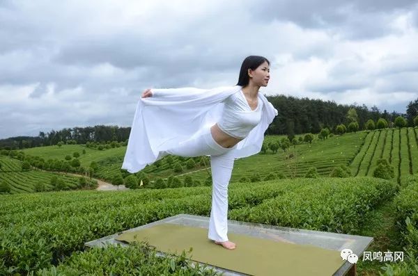 凤冈锌硒茶的功效与作用(凤冈锌硒茶好处)-硒宝网