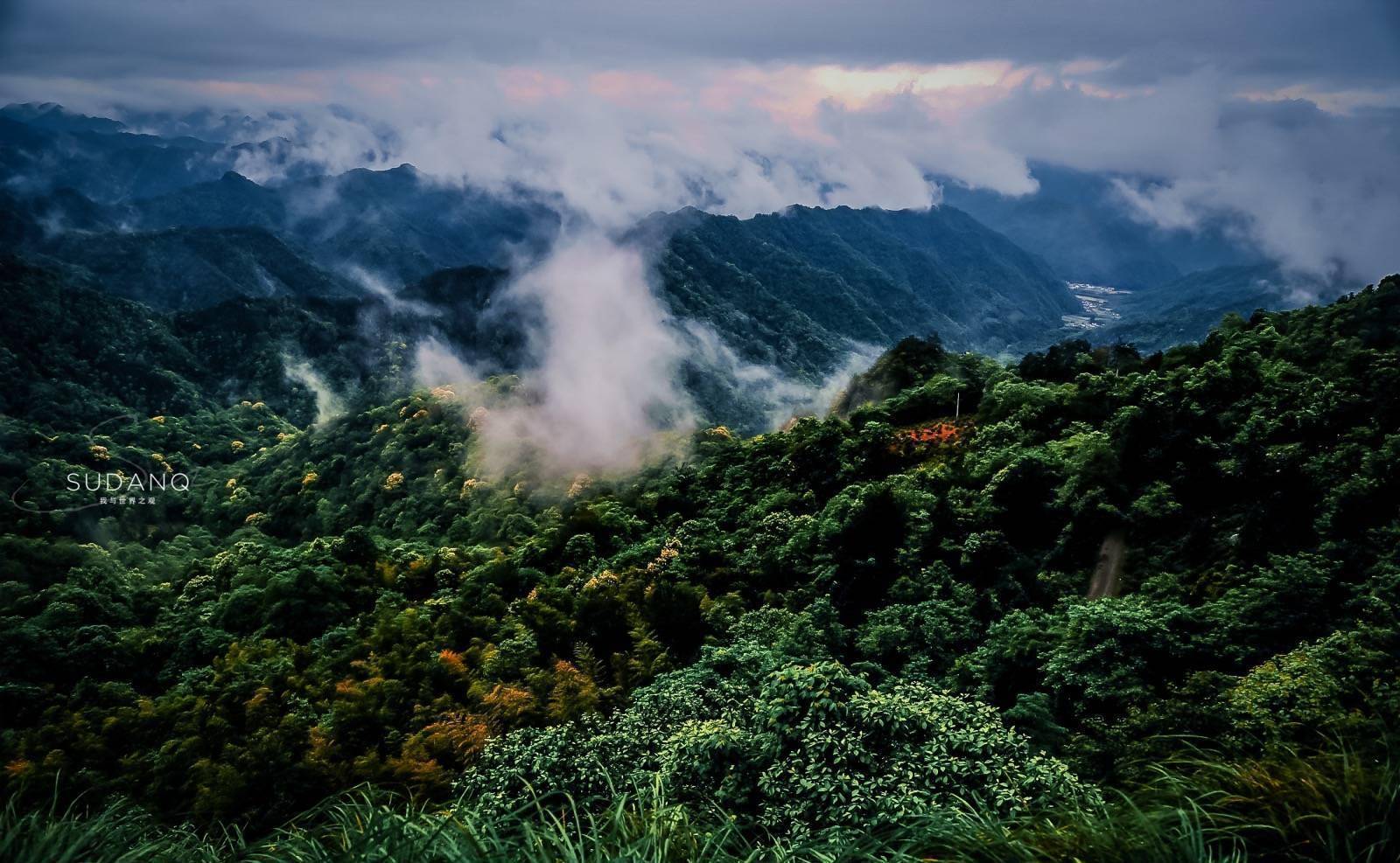 安徽富硒村在哪里(富硒村在哪里)-硒宝网