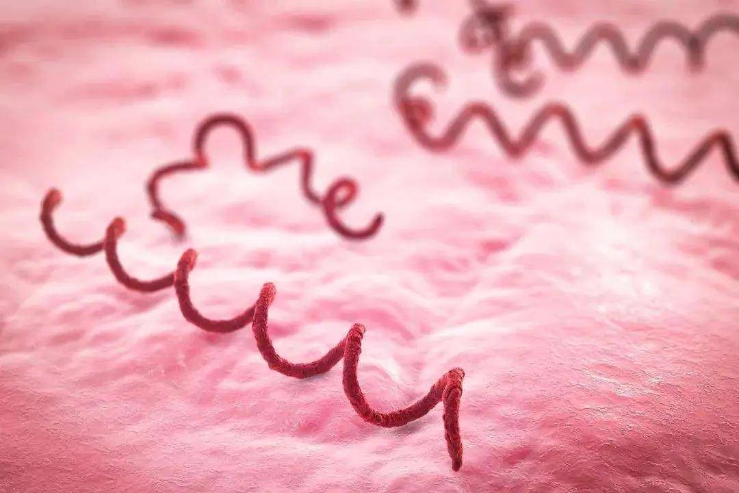 hpv需要补硒吗(中国补硒协会)-硒宝网