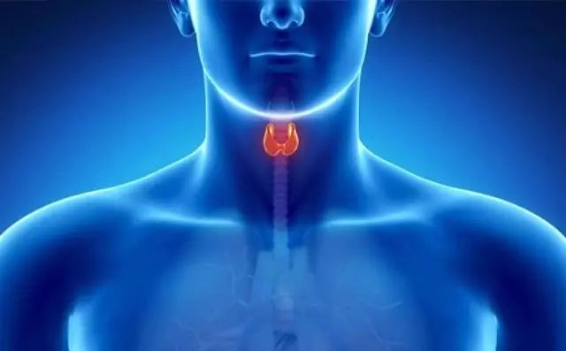 甲亢可以补硒吗（补硒可以补多长时间）-硒宝网