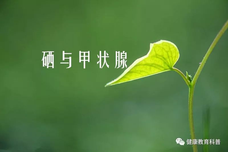 甲状腺补硒有什么好处（补硒对甲状腺的作用）-硒宝网