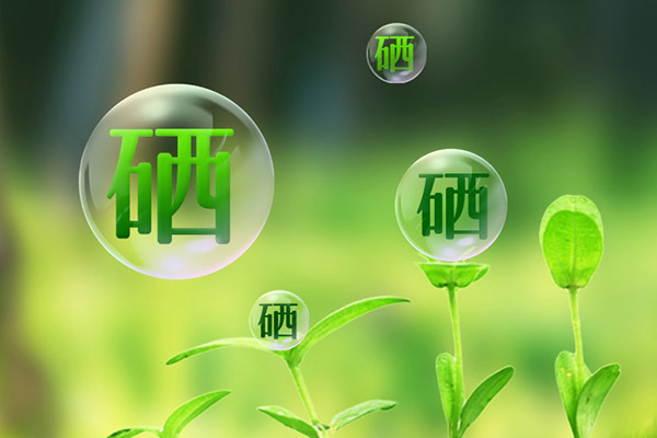 人体每天补硒多少微克(硒片每天服用300微克过量吗)-硒宝网