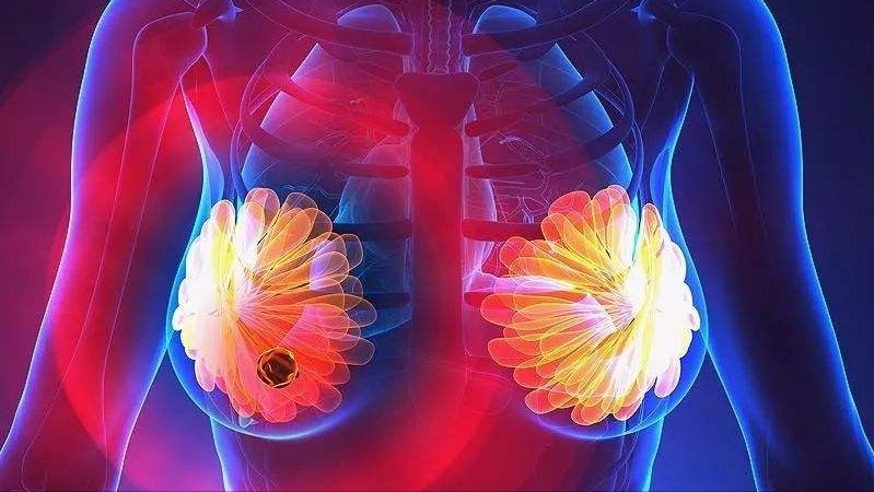 缺硒有什么症状用什么去补(人体缺硒元素的症状)-硒宝网