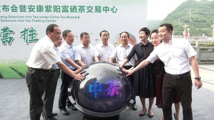 安康紫阳富硒茶（紫阳富硒属于什么茶）-硒宝网