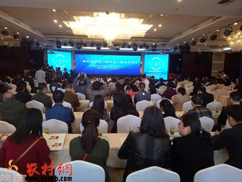 安康紫阳富硒茶（紫阳富硒茶属于什么茶）-硒宝网