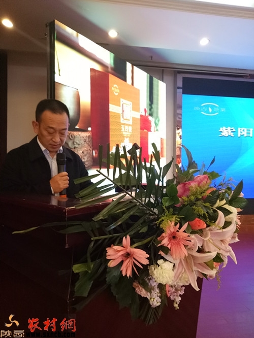 安康紫阳富硒茶（紫阳富硒茶属于什么茶）-硒宝网