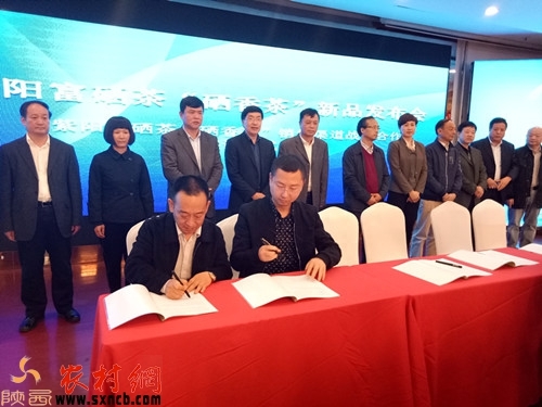 安康紫阳富硒茶（紫阳富硒茶属于什么茶）-硒宝网