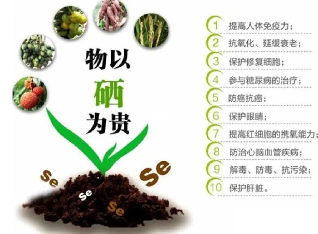 硒元素怎么补(补硒元素最好的牌子)-硒宝网