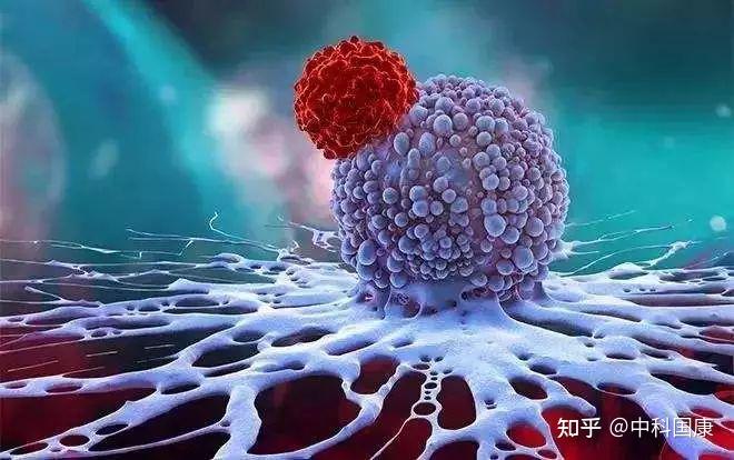 女性补硒有什么副作用（硒对女人的作用和补硒的好处）-硒宝网