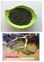 恩施藤茶是什么茶(恩施藤茶有什么好处)-硒宝网