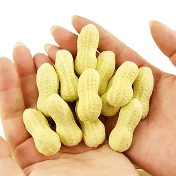 怎样补硒对身体有好处(补硒对身体好吗)-硒宝网